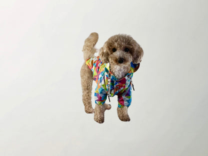 Mosaic Raincoat
