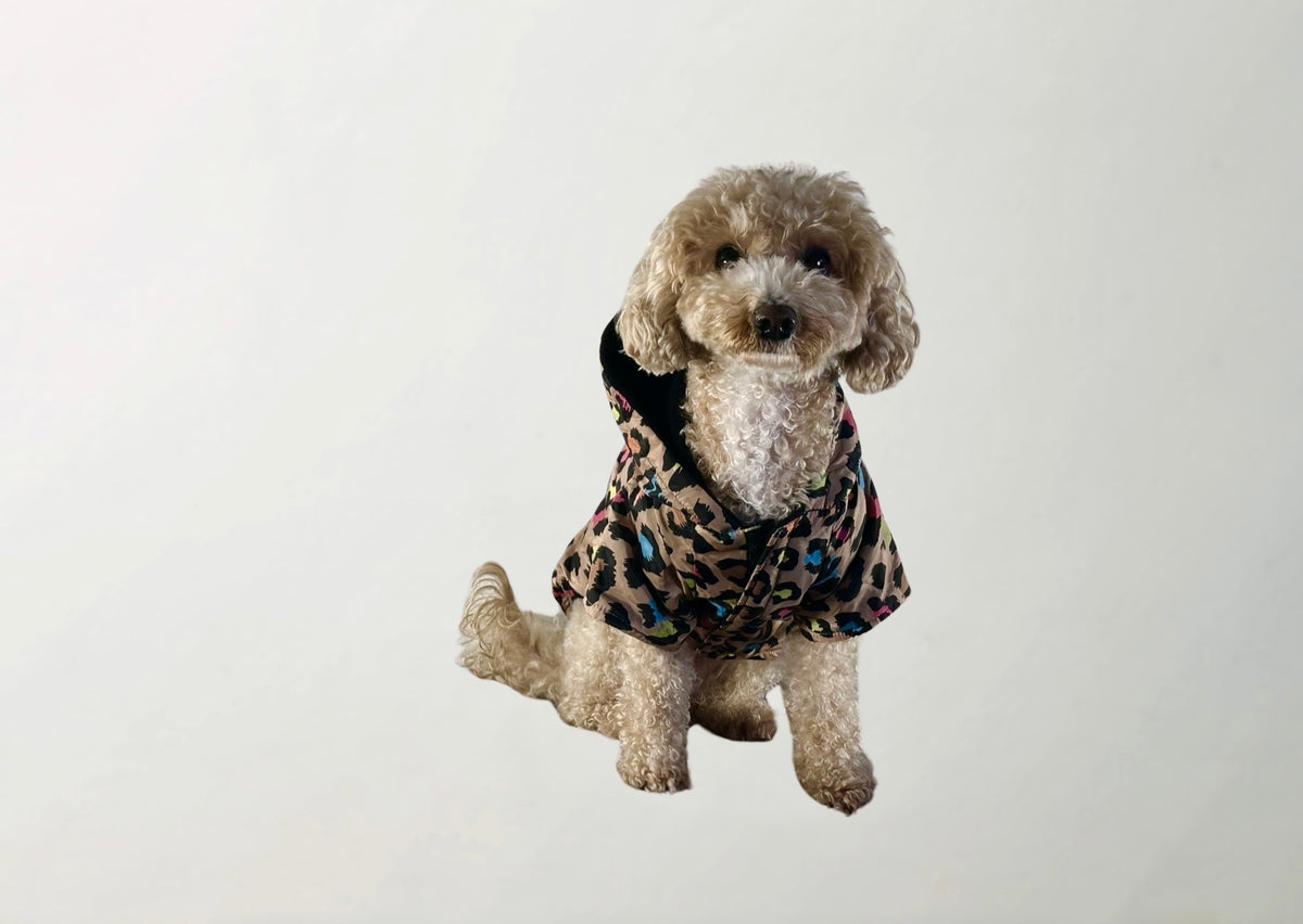 Note Raincoat
