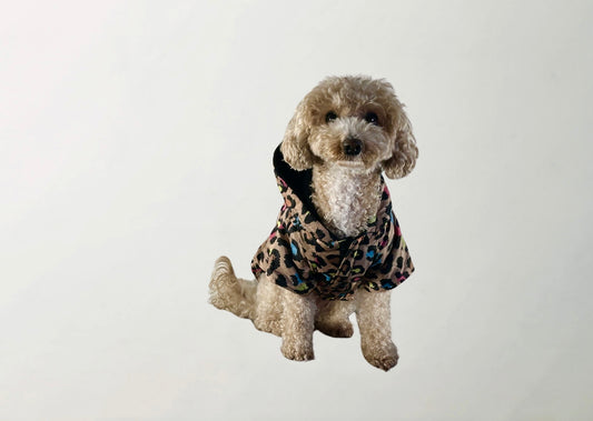 Note Raincoat