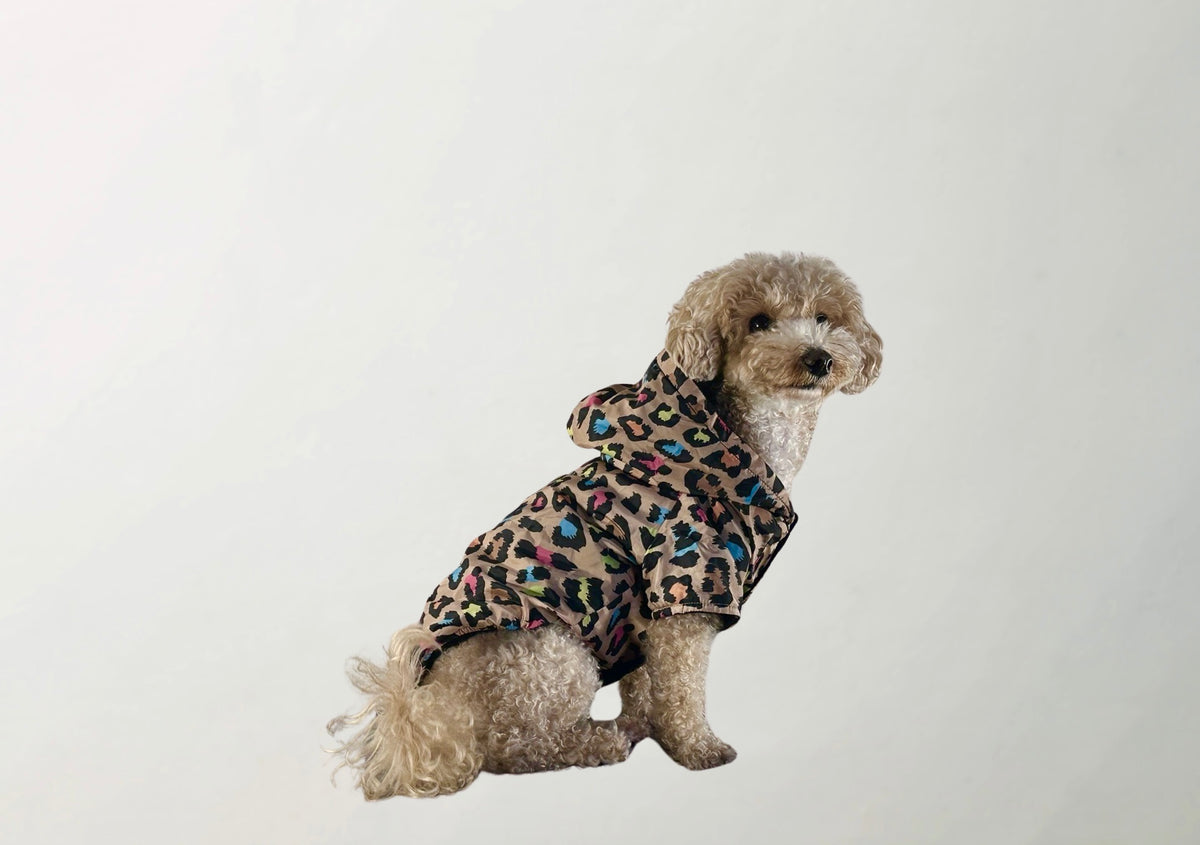 Note Raincoat