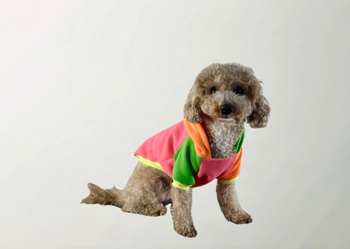 Pitaya Sweatshirt