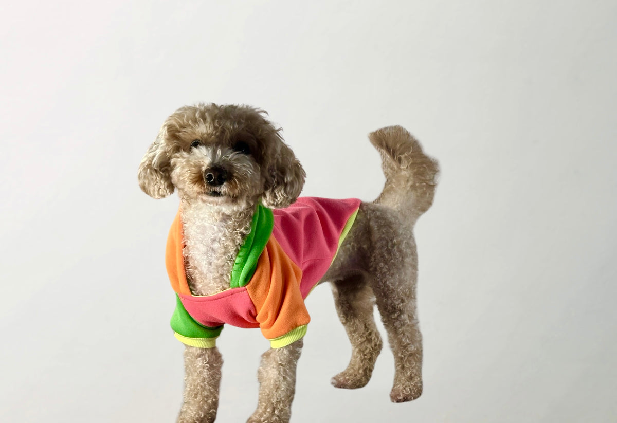 Pitaya Sweatshirt