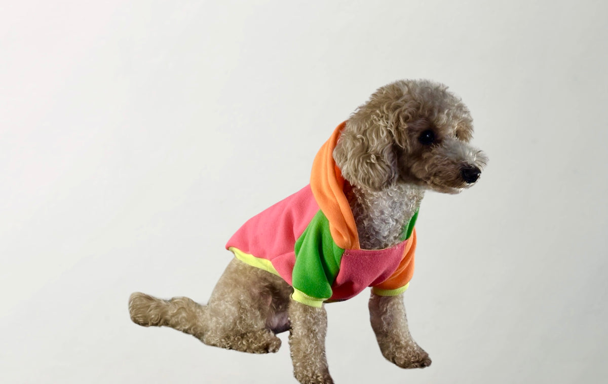 Pitaya Sweatshirt