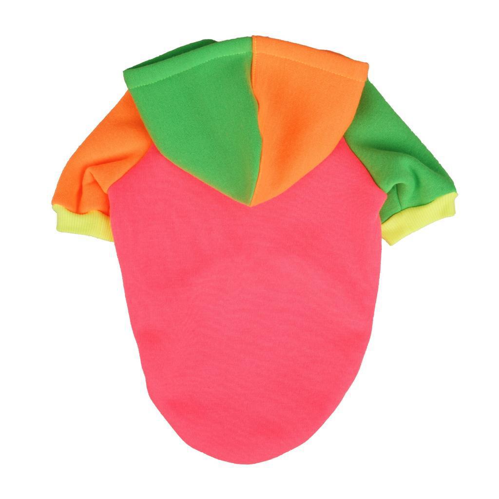 Pitaya Sweatshirt