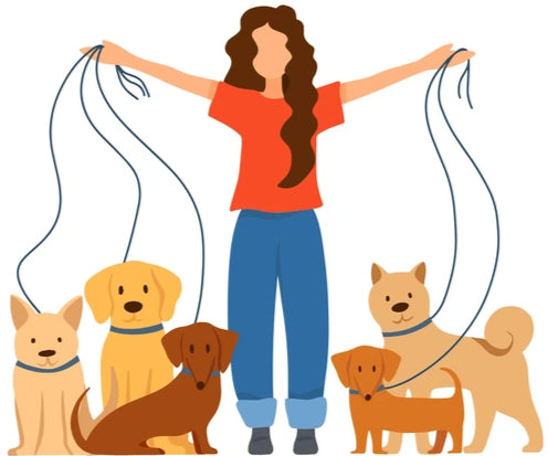 Dog walking service
