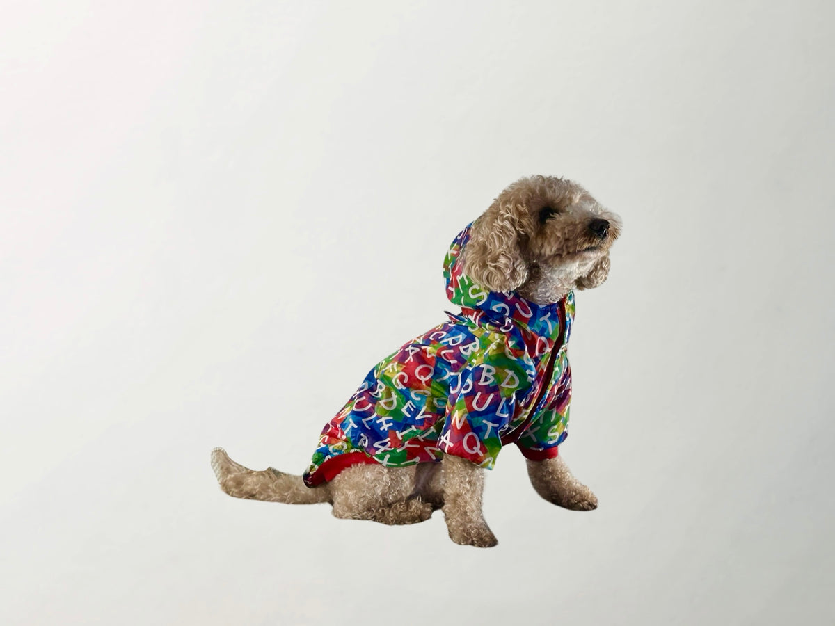 School Raincoat