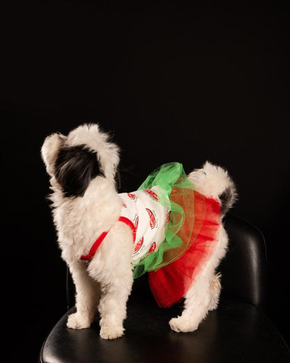 Watermelon Dress