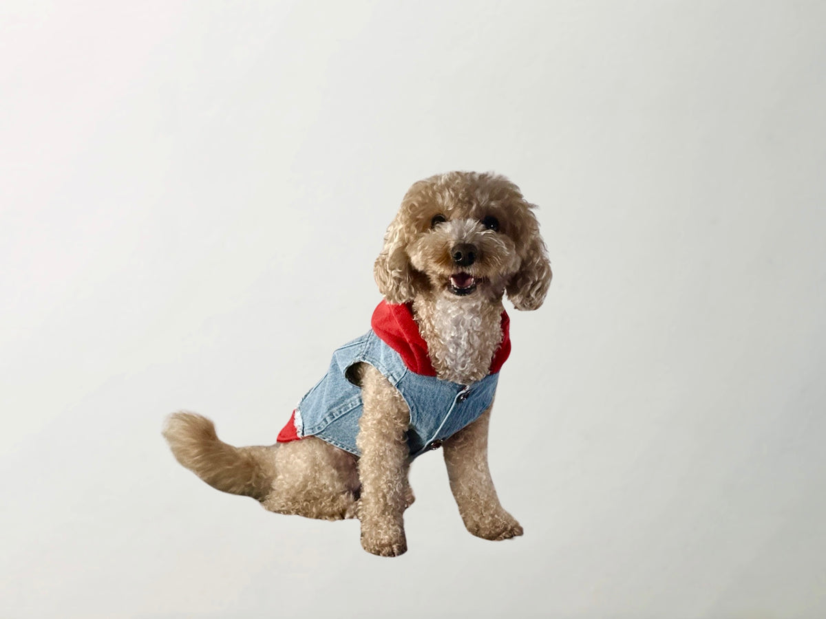 Wilma Casual Denim Vest