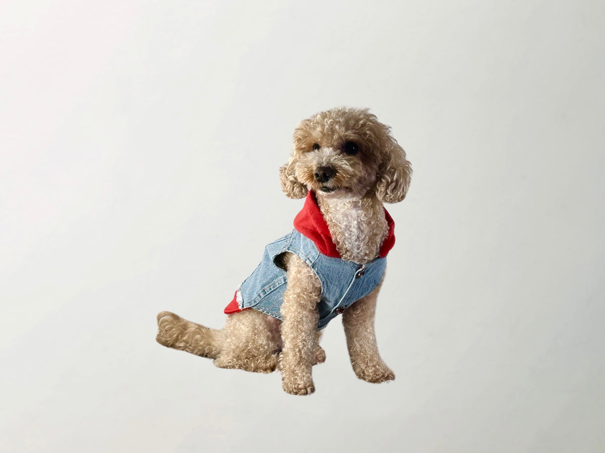 Wilma Casual Denim Vest
