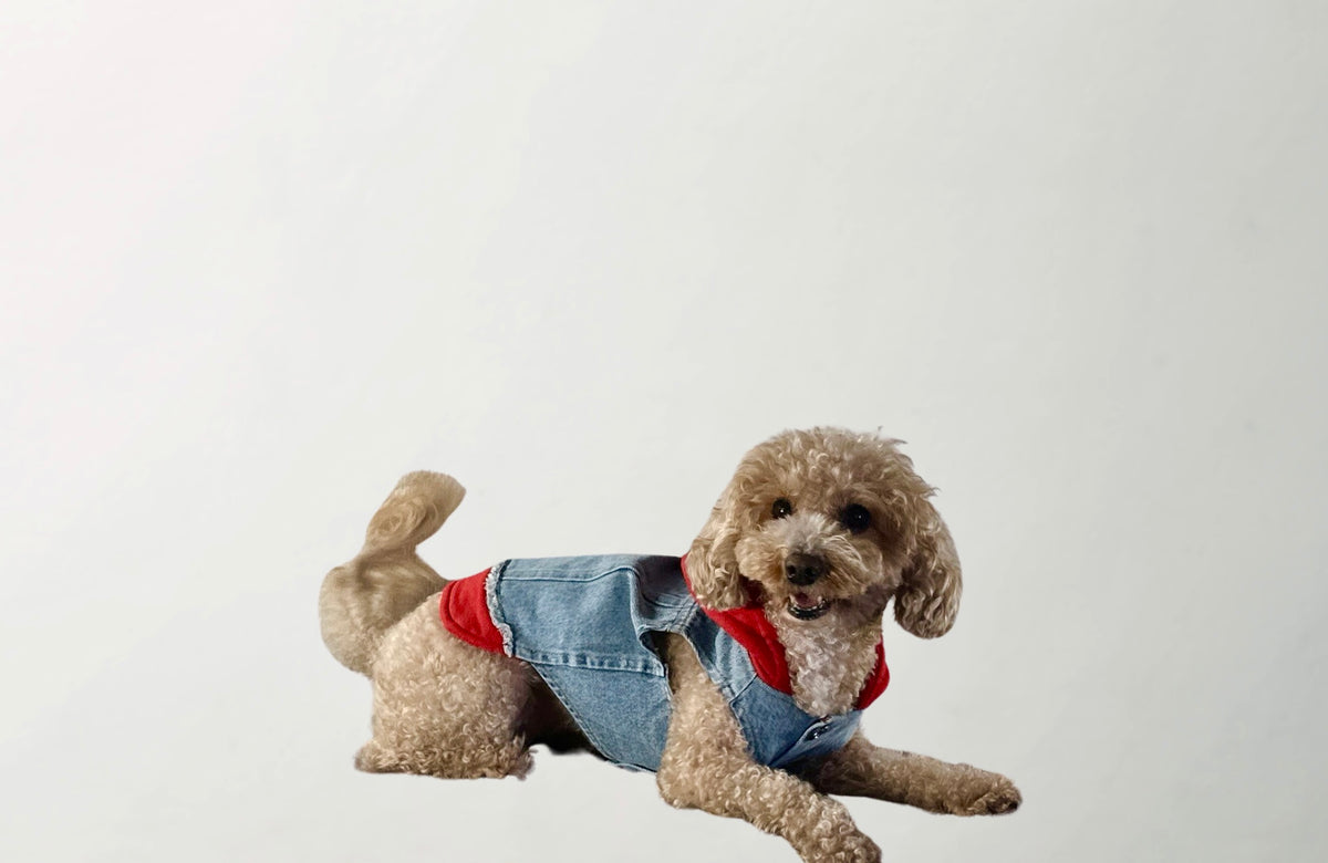 Wilma Casual Denim Vest