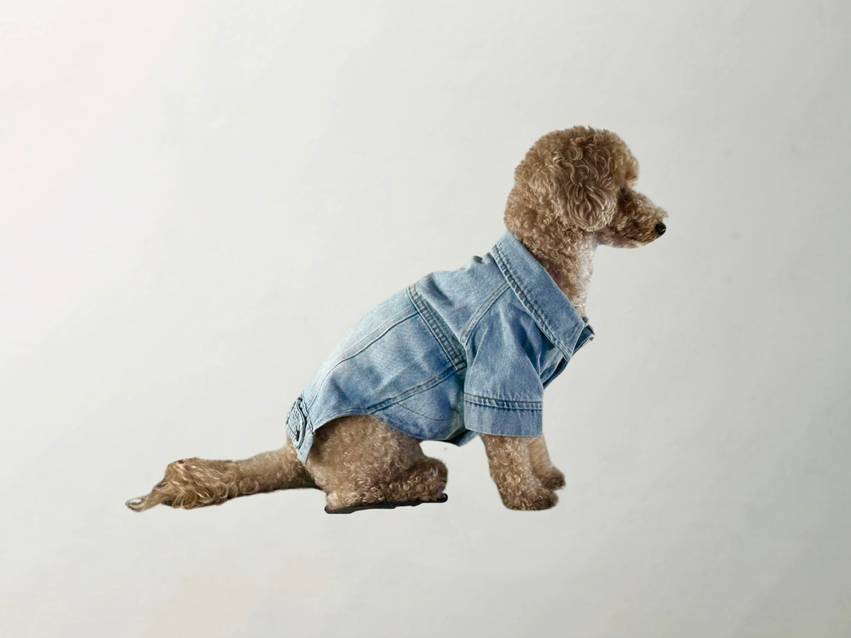Wilma Denim Jacket