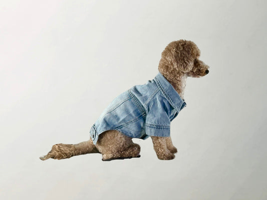 Wilma Denim Jacket