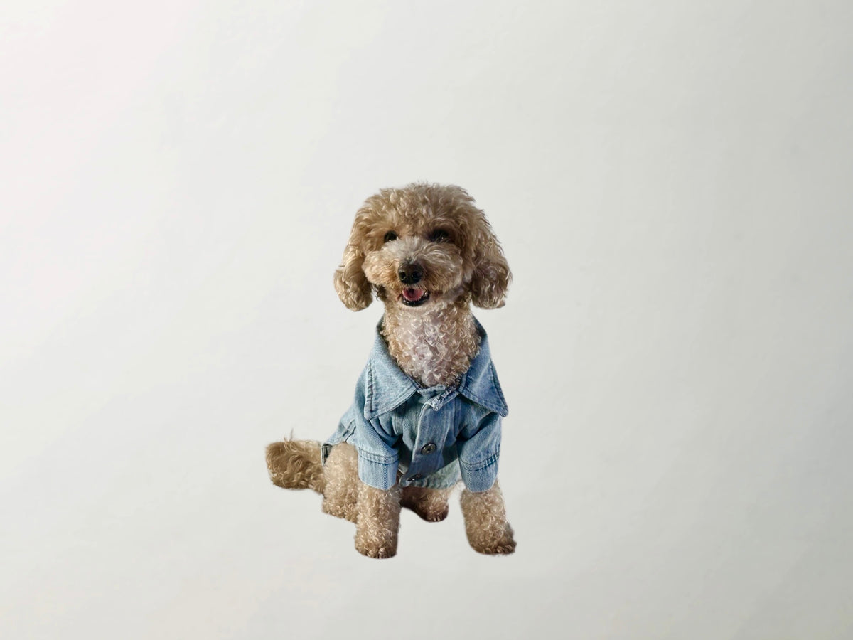 Wilma Denim Jacket