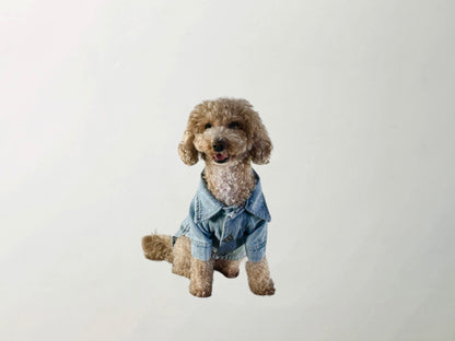 Wilma Denim Jacket