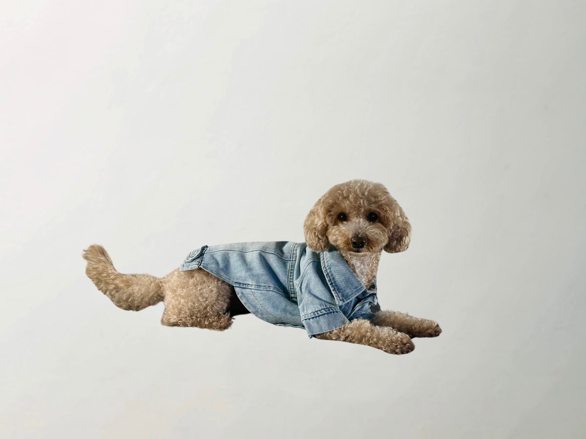 Wilma Denim Jacket