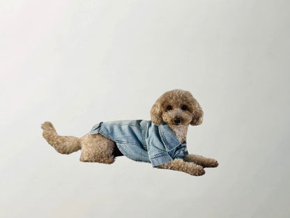 Wilma Denim Jacket