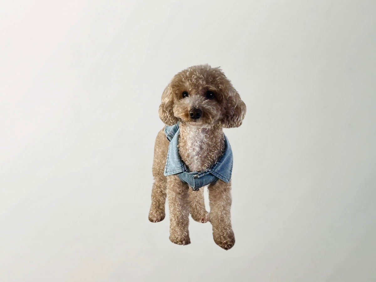 Wilma Denim Vest
