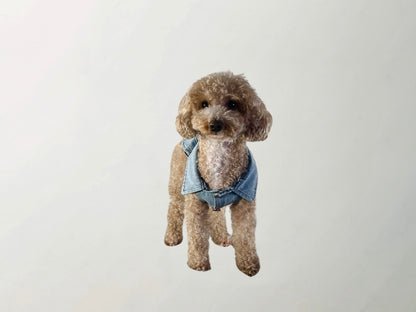 Wilma Denim Vest