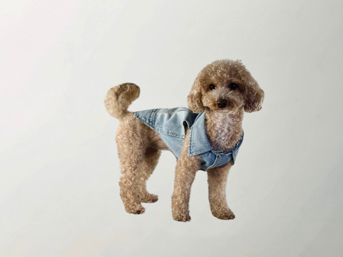 Wilma Denim Vest